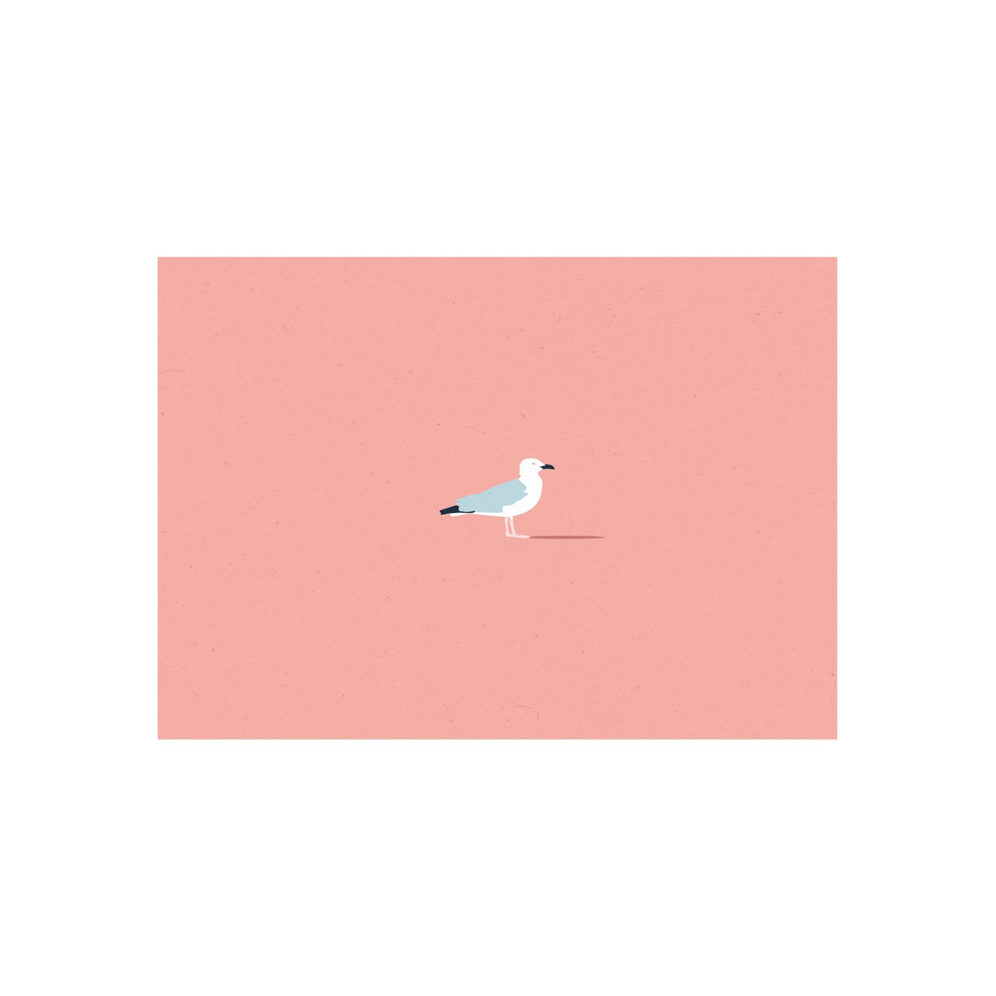 Carte postale "Seagull"